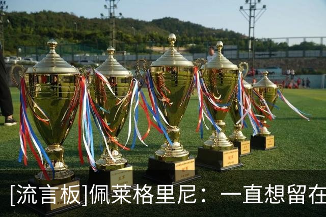 [流言板]佩莱格里尼：一直想留在罗马；俱乐部提出续约一年&我接受了